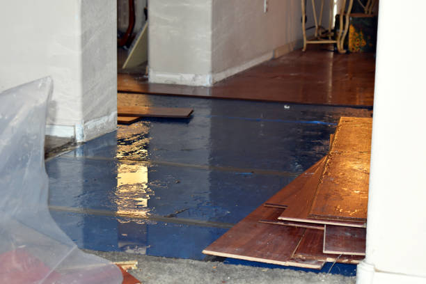 Professional Water Removal technician working in Lakeview, MI